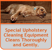 upholstery cleaning Orange County, CA